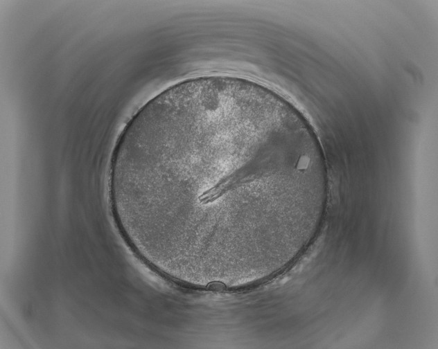 X0000111001525200907101441