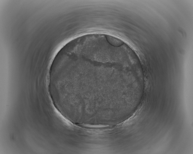 X0000111001527200907101441