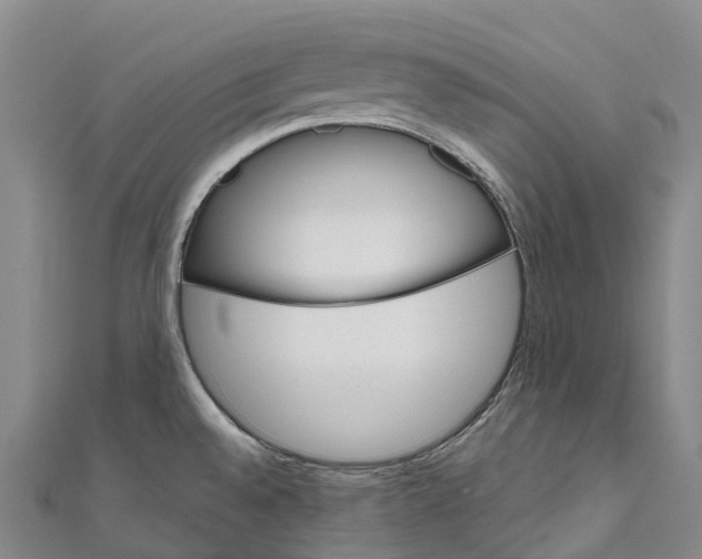 X0000111001528200907101441