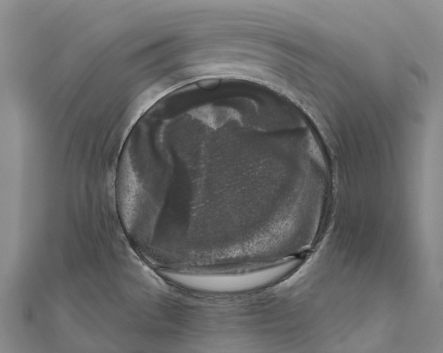 X0000111001529200907101441