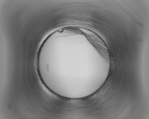 X0000111001531200907101441