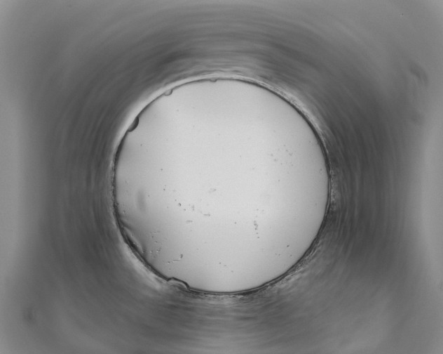 X0000111001532200907101441