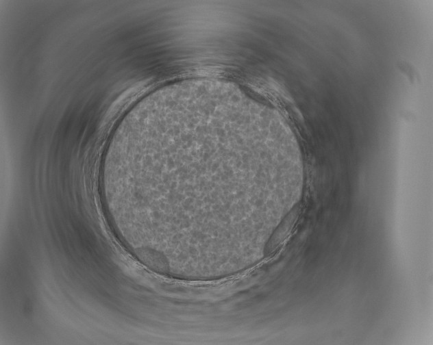 X0000111000001200907171823