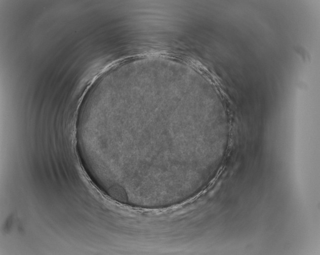 X0000111000002200907171823