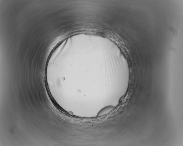 X0000111000003200907171823