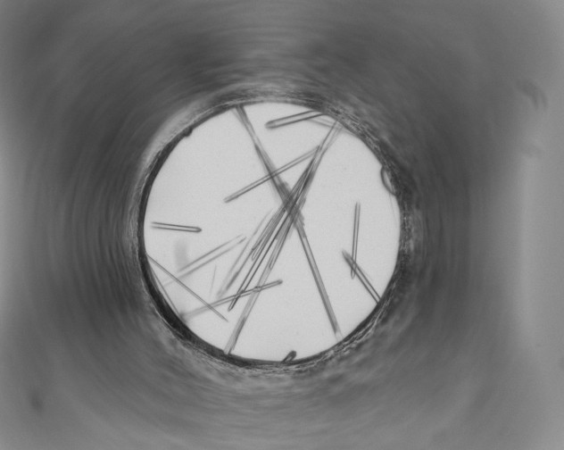 X0000111000004200907171823