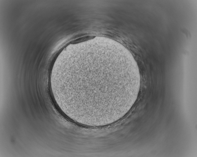 X0000111000005200907171823