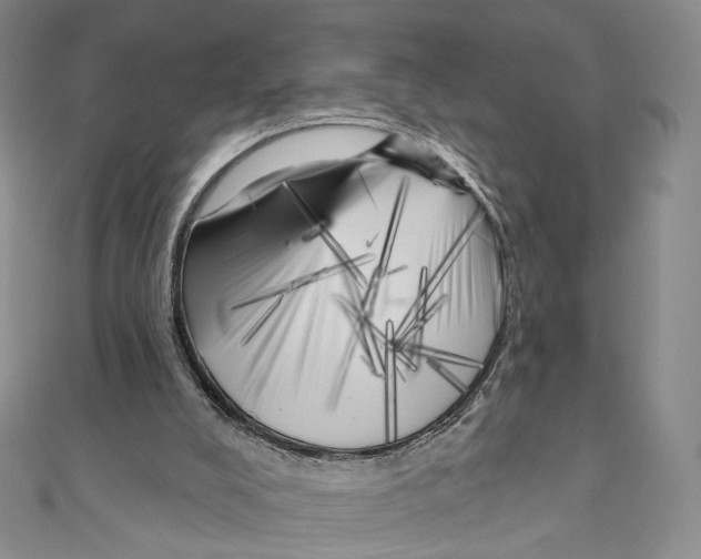 X0000111000008200907171823