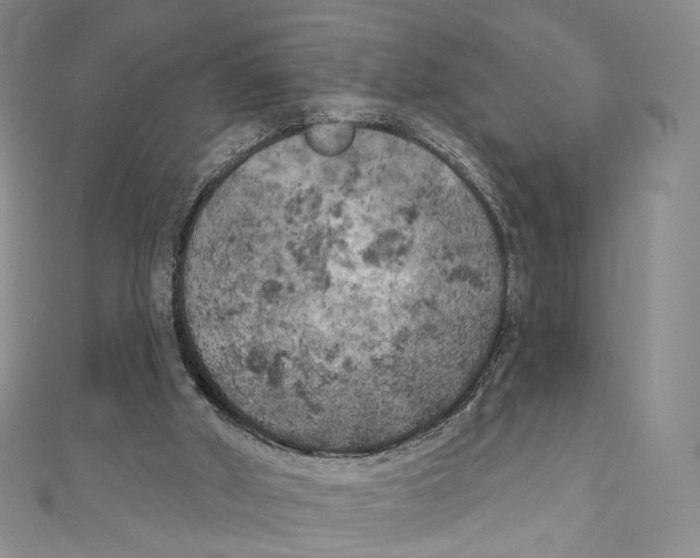 X0000111000010200907171823