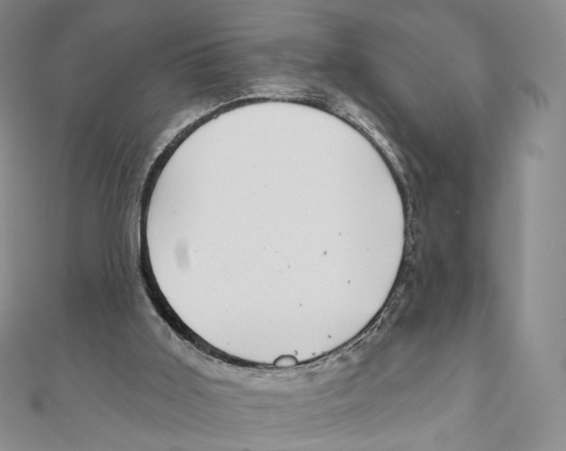 X0000111000011200907171823