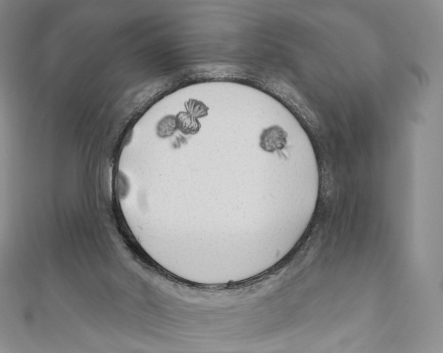 X0000111000014200907171823