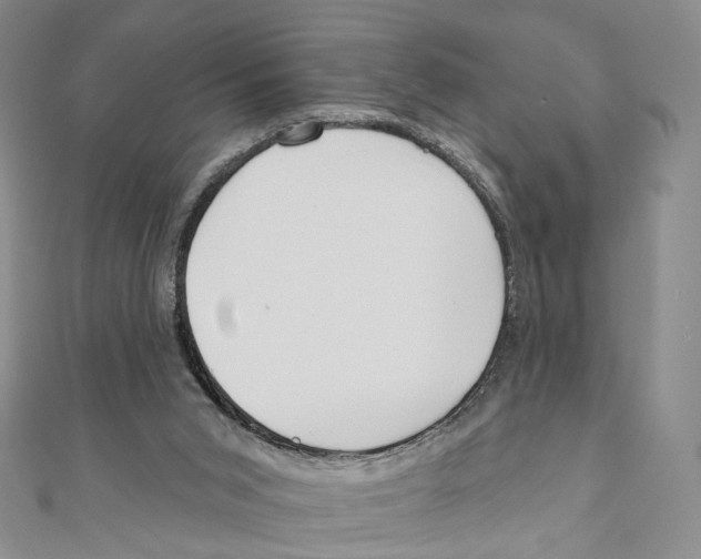 X0000111000015200907171823