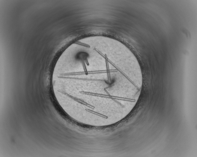 X0000111000016200907171823