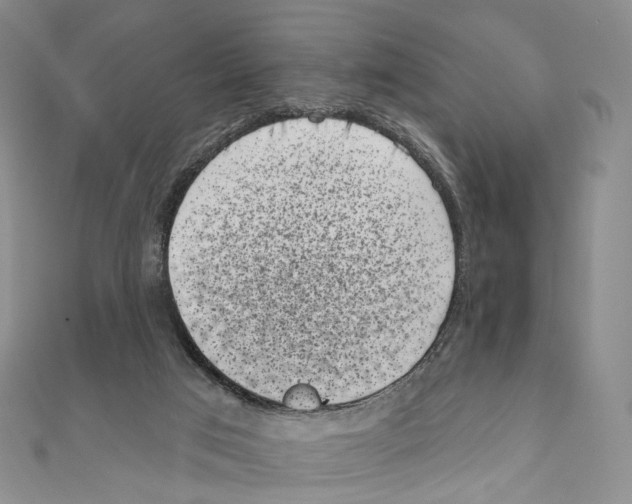 X0000111000017200907171823