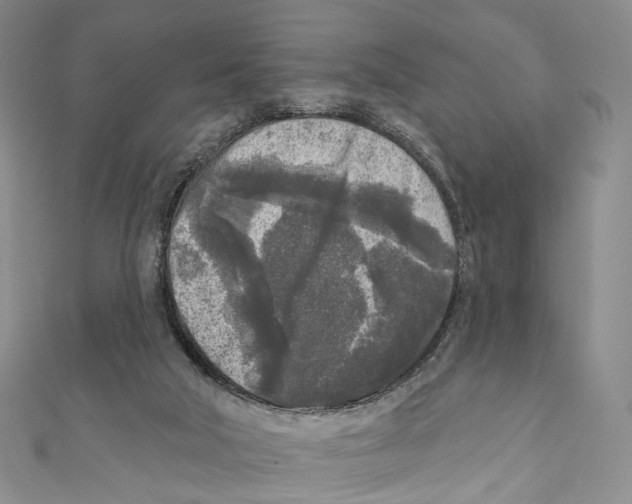 X0000111000018200907171823