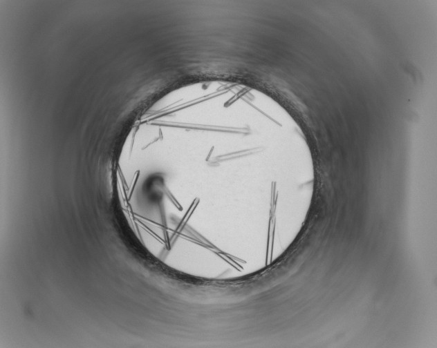 X0000111000020200907171823