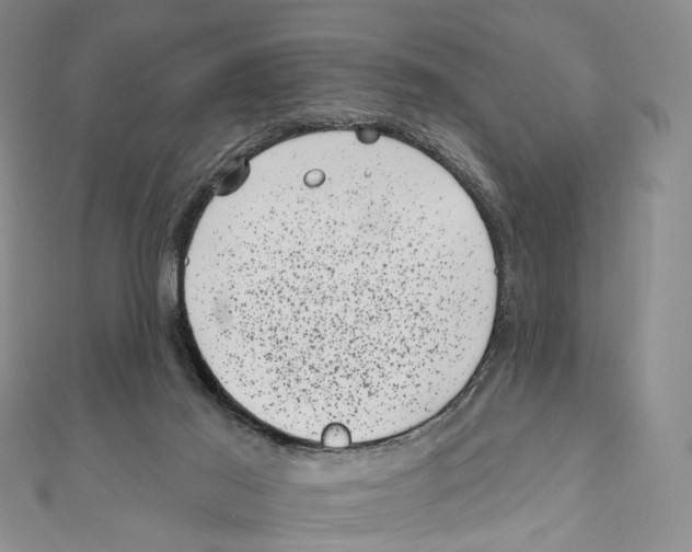 X0000111000021200907171823