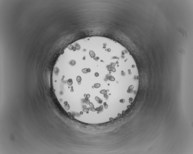 X0000111000022200907171823