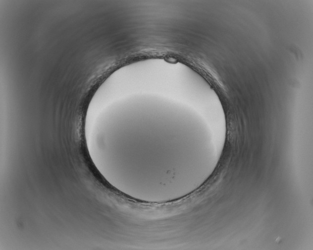 X0000111000023200907171823