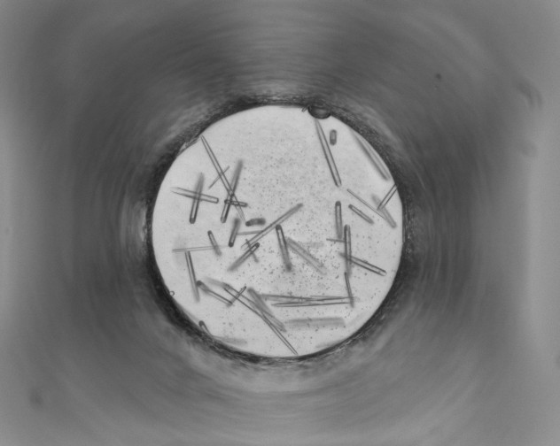 X0000111000024200907171823