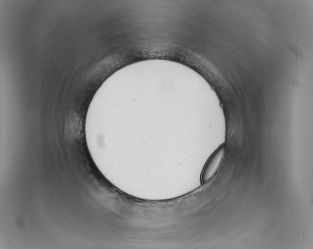 X0000111000025200907171823