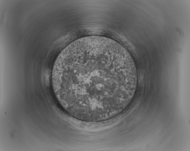 X0000111000026200907171823