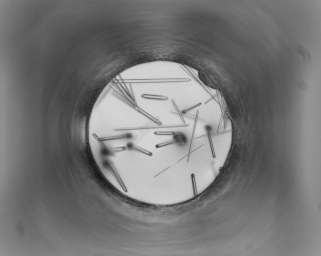 X0000111000028200907171823