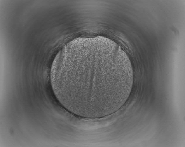 X0000111000029200907171823