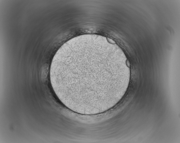 X0000111000030200907171822