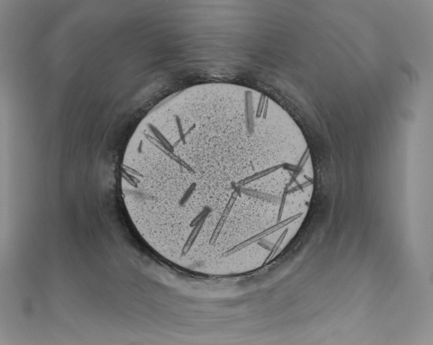 X0000111000032200907171822