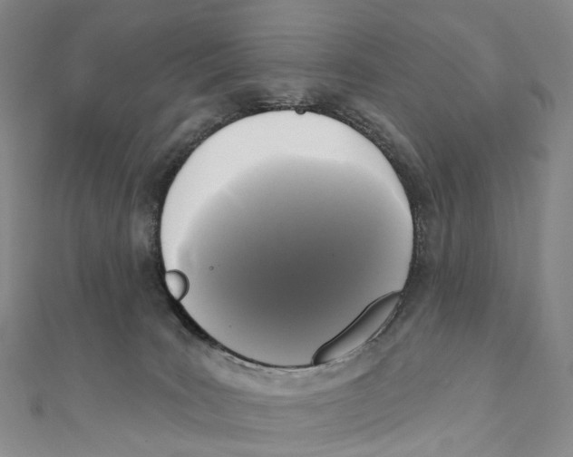 X0000111000035200907171822