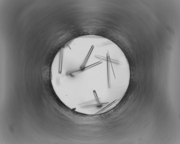 X0000111000036200907171822