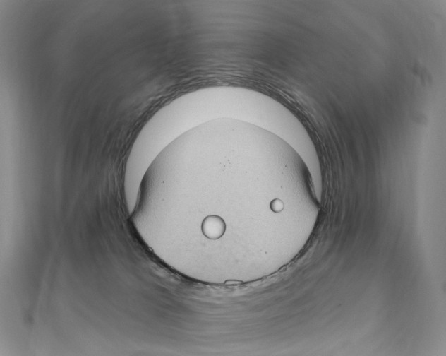 X0000111000037200907171822