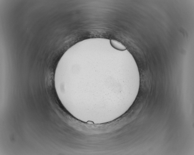 X0000111000038200907171822