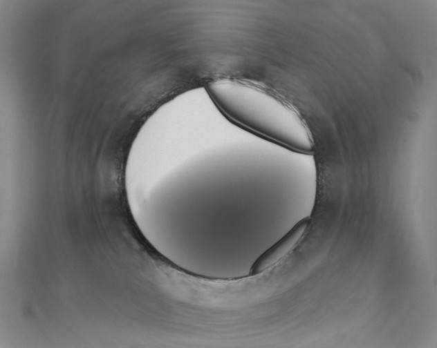 X0000111000039200907171822