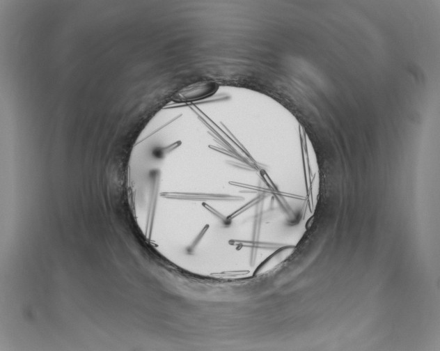 X0000111000040200907171822