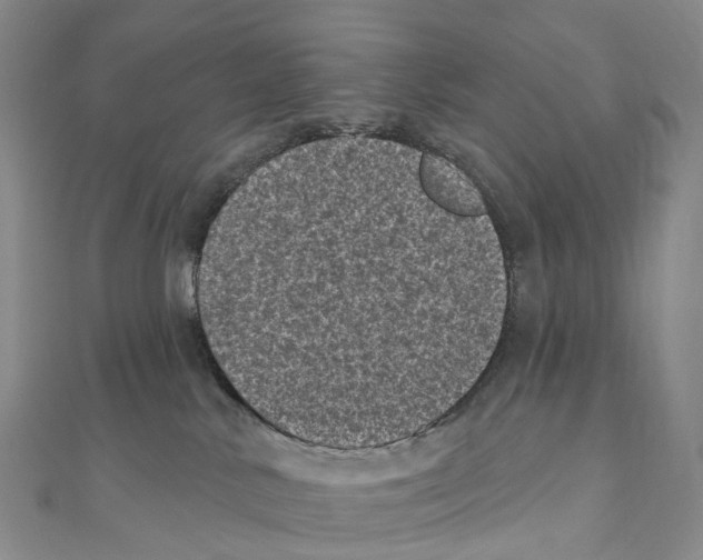 X0000111000042200907171822