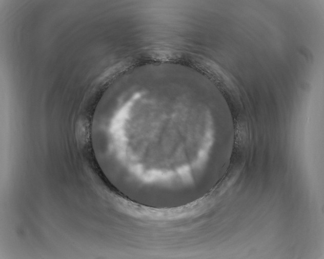 X0000111000043200907171822