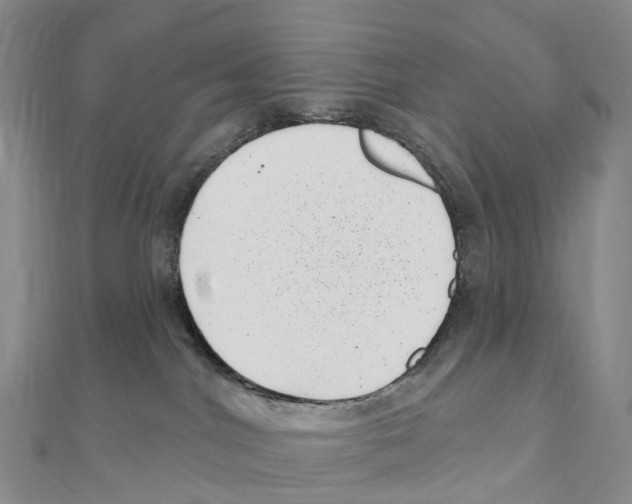 X0000111000044200907171822