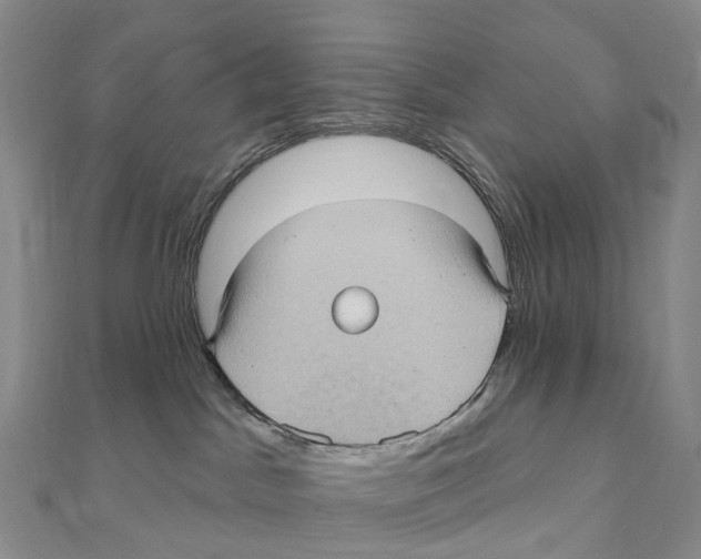 X0000111000045200907171822