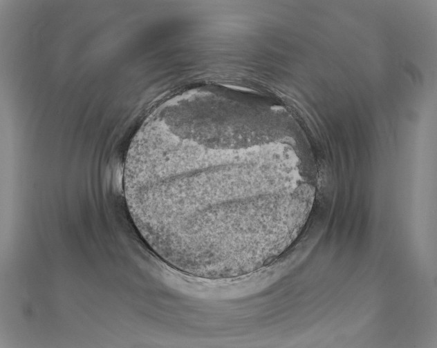 X0000111000046200907171822