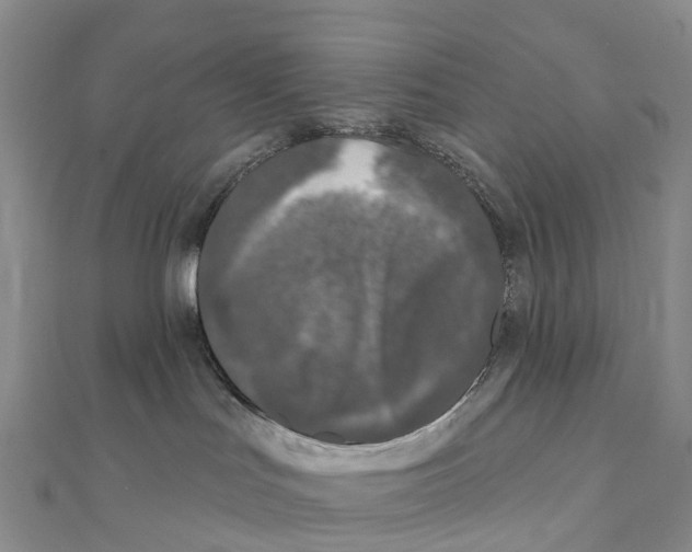 X0000111000047200907171822