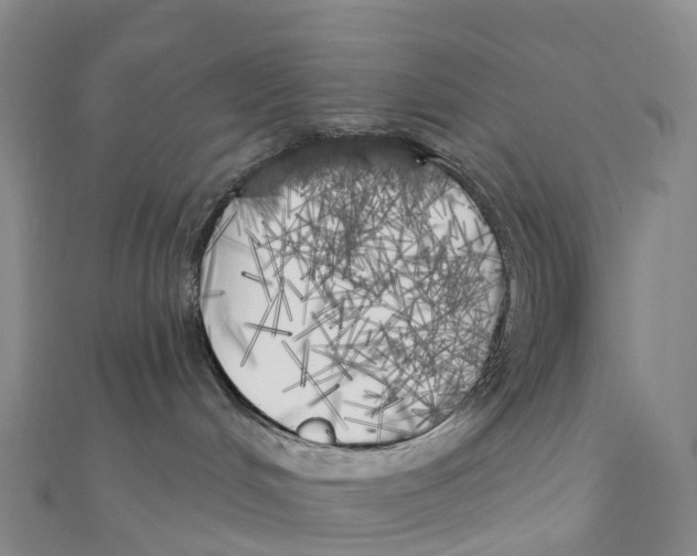 X0000111000048200907171822