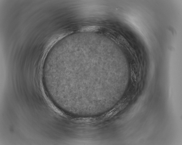 X0000111000049200907171822