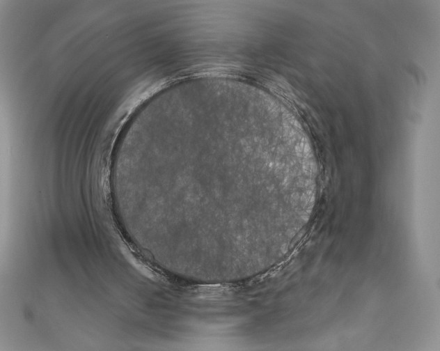 X0000111000050200907171822