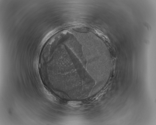 X0000111000051200907171822