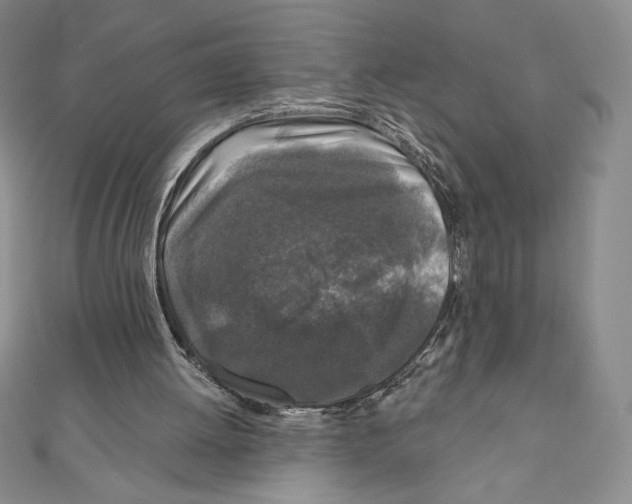 X0000111000052200907171822