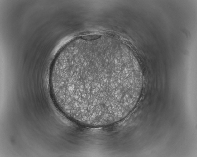 X0000111000054200907171822