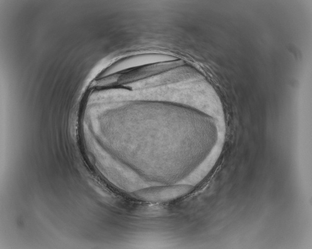 X0000111000056200907171822