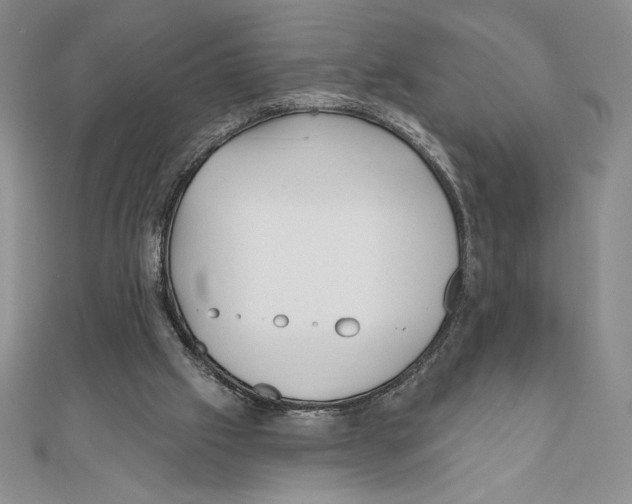 X0000111000057200907171822